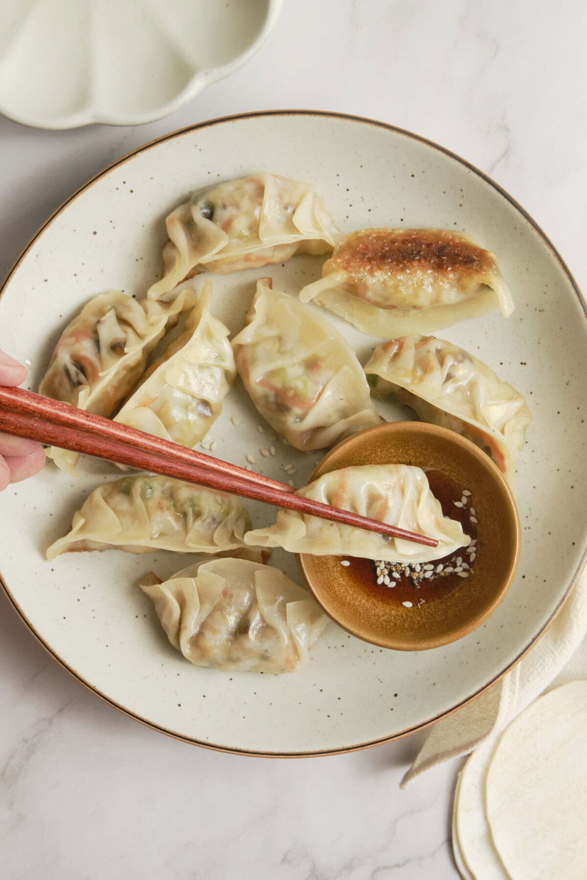 Vegetable Dumplings - foodfaithfitness