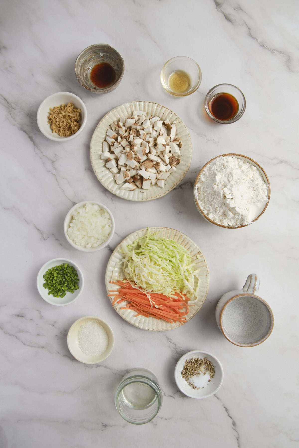 Vegetable Dumplings - foodfaithfitness