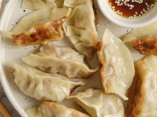 a-gyoza-feature-1-500x375.jpeg