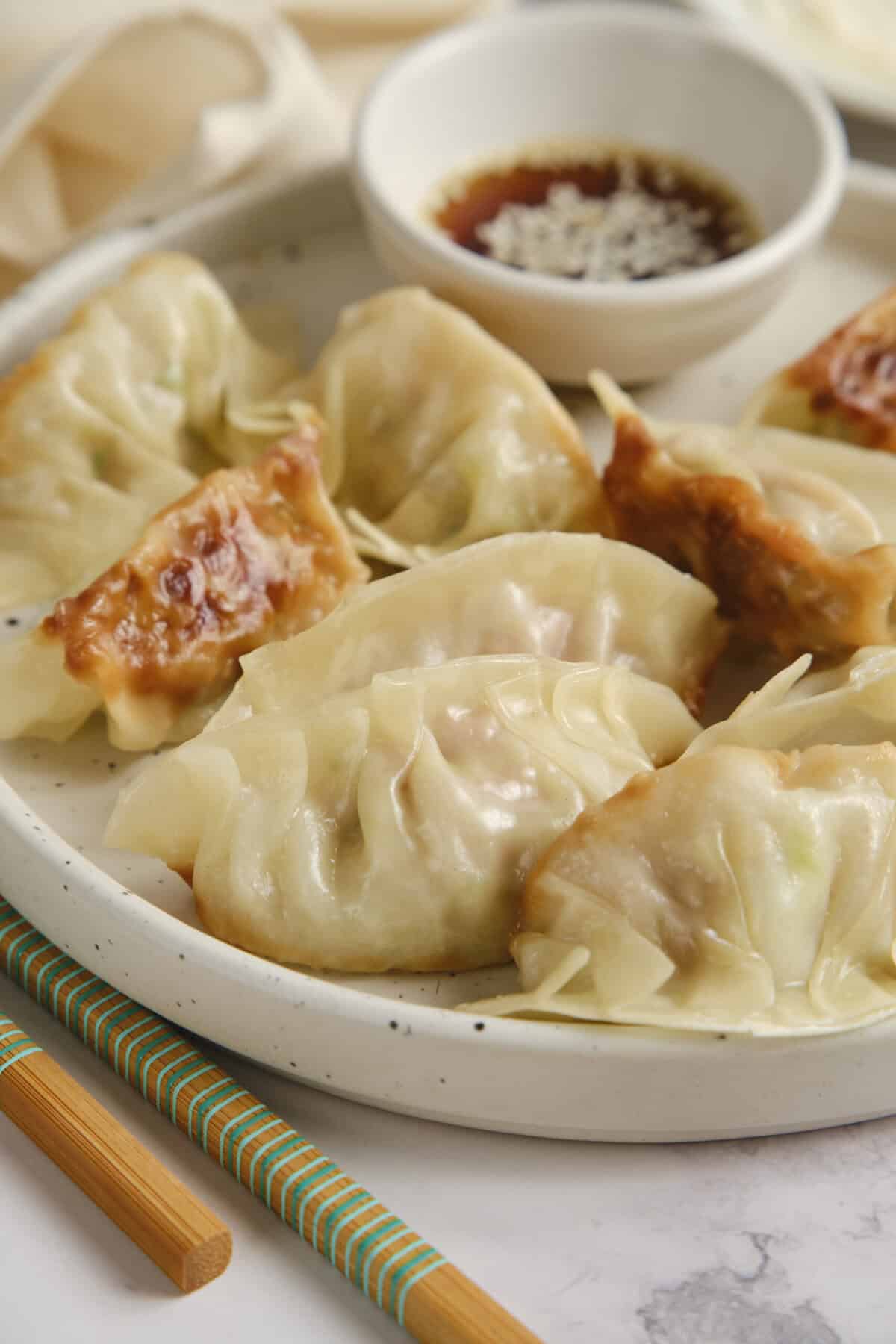 Gyoza - Foodfaithfitlness