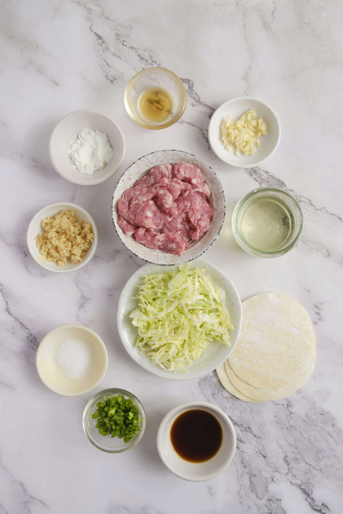 Gyoza - Foodfaithfitlness