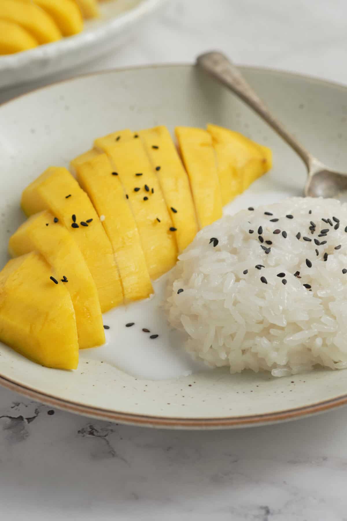 Mango Sticky Rice - foodfaithfitness