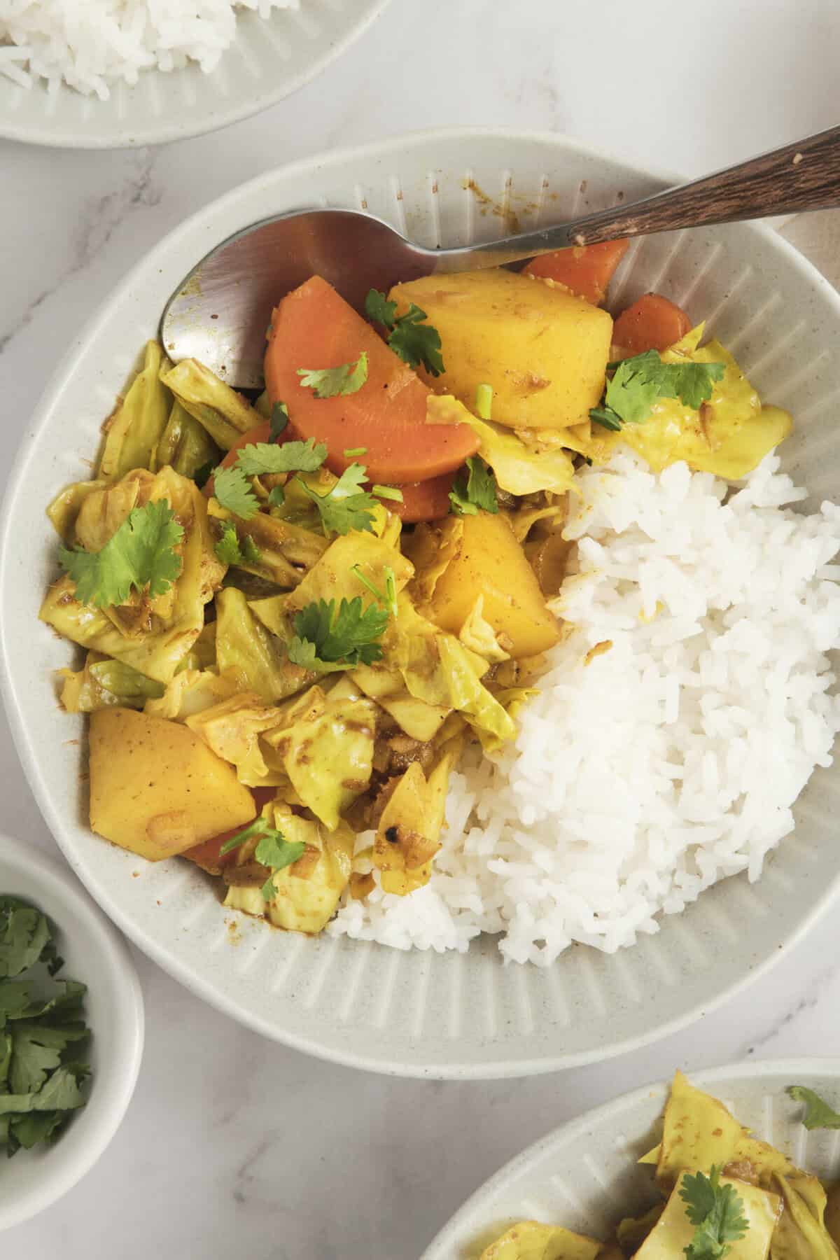 Healthy vegetarian vegetable curry with rice topped with cilantro, suitable for nutritious and wholesome meal ideas.