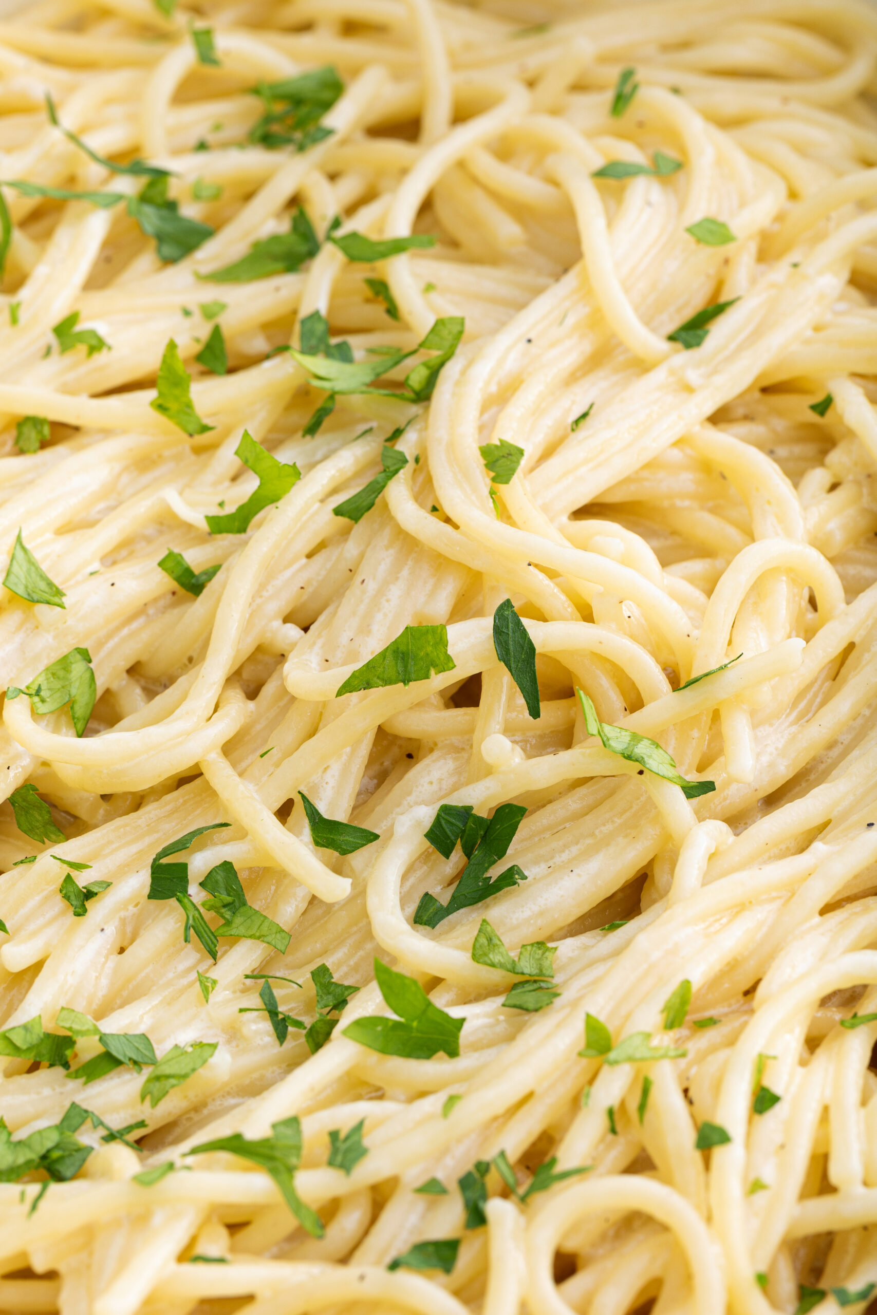 Creamy garlic herb pasta with fresh parsley, perfect for healthy meal prep and nutritious eating.