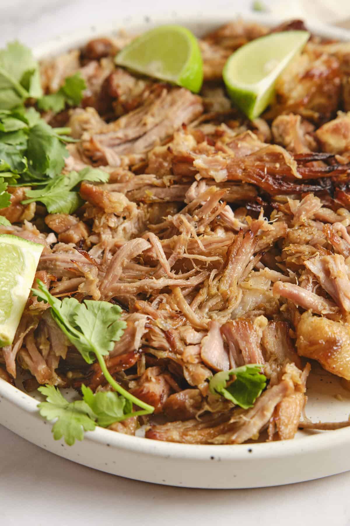 Carnitas - foodfaithfitness