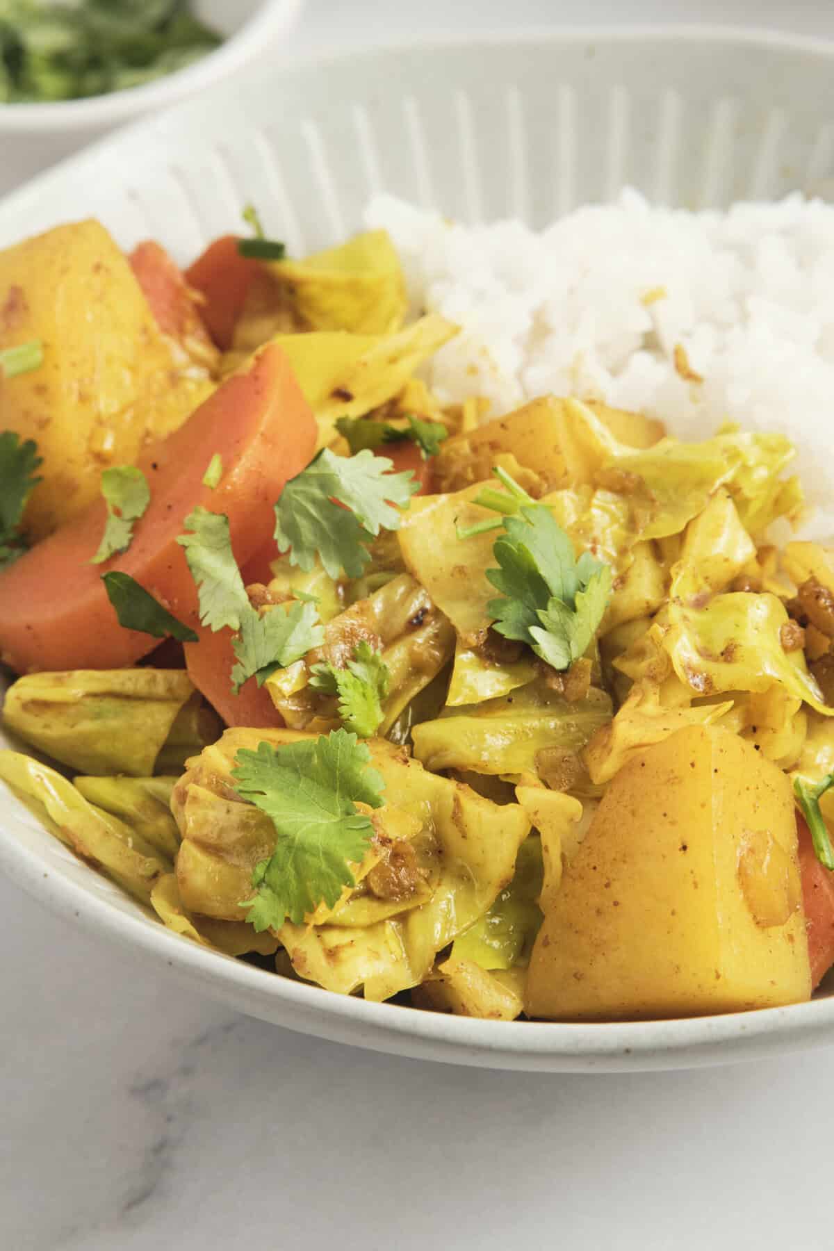 Mixed vegetable curry with rice, healthy vegan meal, colorful stir-fried vegetables, served with white rice, garnished with fresh cilantro, nutritious plant-based dish from Food Faith Fitness.