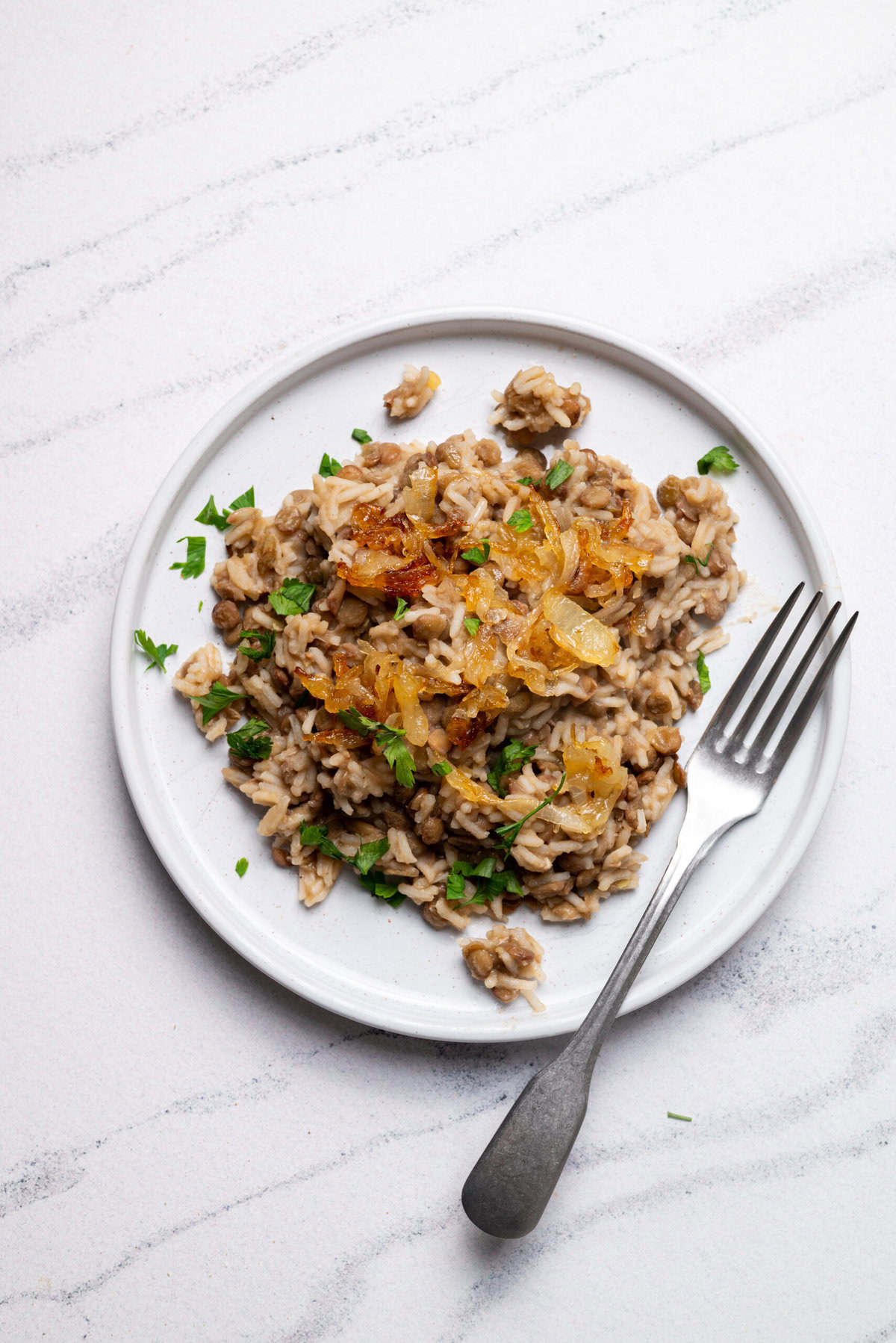 Mujadara Recipe - foodfaithfitness