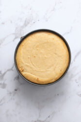 Baked peanut butter cheesecake in a springform pan.